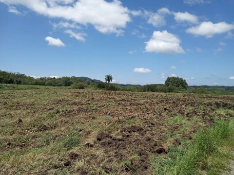 Área de três hectares plano, próximo de Gramado 
