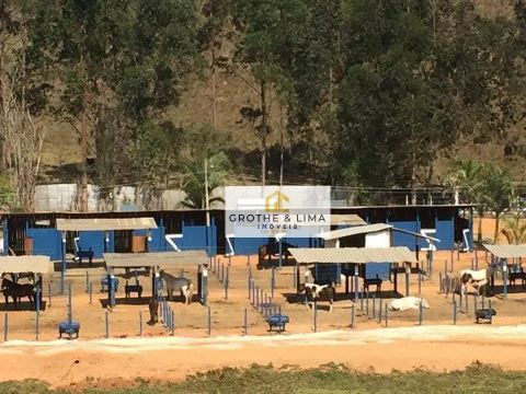 Fazenda Haras com uma estrutura fantástica por R$ 4.000.000 - Rural - Lagoinha/SP