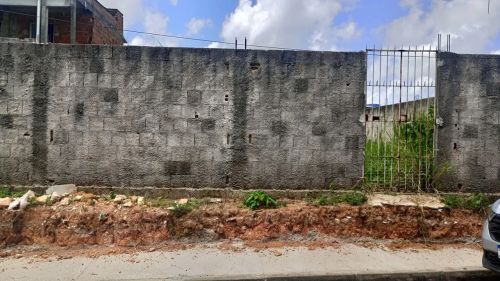Terreno 12x25