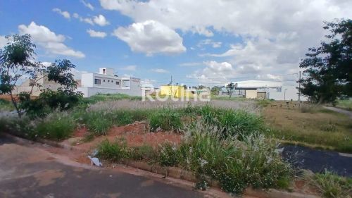 Terreno à venda, Verde Vida - Uberlândia/MG - Rotina Imobiliária