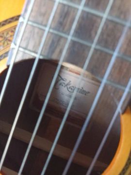 Violão Takamine G-Series GC5CE