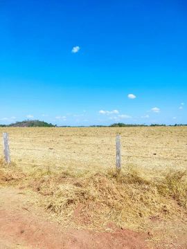 Fazenda de arrendamento 5.500 hec em Boa esperança, Trivelato, 2500 planta hoje