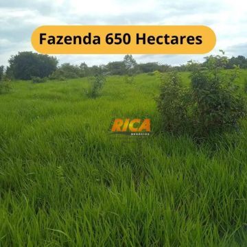Excelente Fazenda a venda com 650 Hectares no município de Apuí/AM