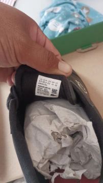 Lacoste Europa PRO 41