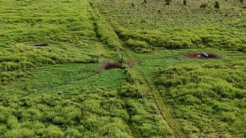 Aluguel de Pasto no Tocantins até 2 mil cabeças 