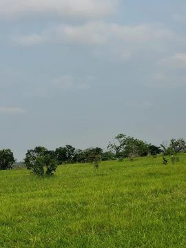 Imóvel para venda possui 200000 metros quadrados em Rochedinho - Campo Grande - MS