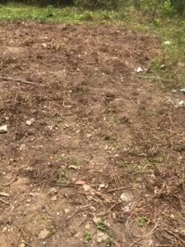 Terreno em ótima localização