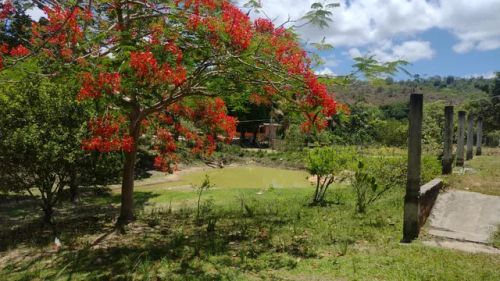 Sítio possui 2.000m² em Amado Bahia - Mata de São João - BA