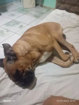 Procuro namorada 