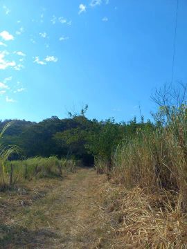 Vendo sitio 