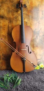 Violoncelo clássico em ótimo estado