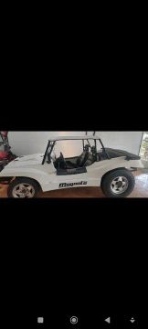 Buggy Magnata 