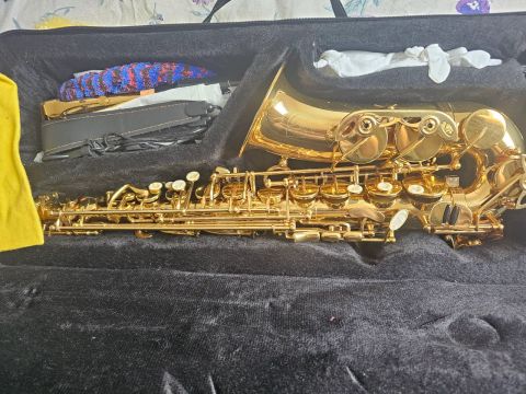 Saxofone Alto Dourado - Instrumento Musical 1 mês de uso 