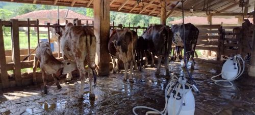 Fazenda 121 Hectares com Nascentes e Rio em Arapeí/SP