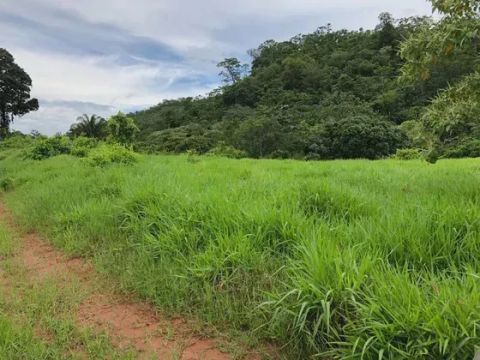 FAZENDA no Estado do Tocantins, Município de Itacajá/TO