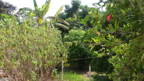 Casa 2 Quartos, em Lorena, em adorável e segura Vila Rural, próxima ao Shopping