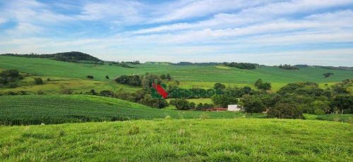 Fazenda à venda, 171 Alq-SP por R$ 43.000.000 - Jataizinho - Jataizinho/PR