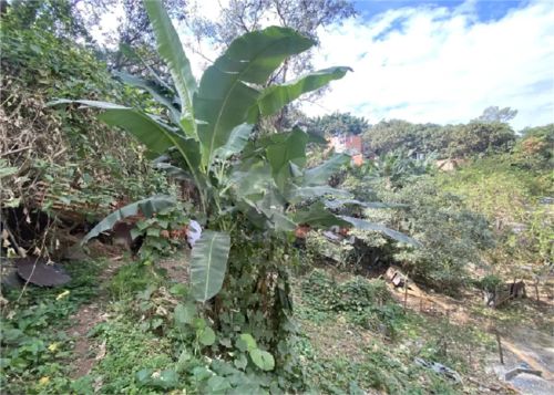 Terreno à venda em Jardim Fonte Do Morumbi - SP