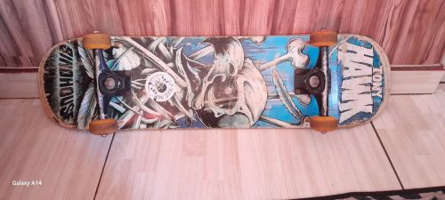 Skate Tony Hawk Birdhouse