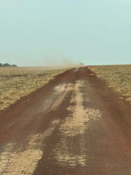 Fazenda de arrendamento MT. 7 mil hect plantando R$:15 sacas soja por hect