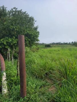 Vendo excelente sítio em alagoinhas 