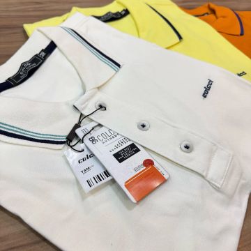 Camiseta Polo Vários modelos