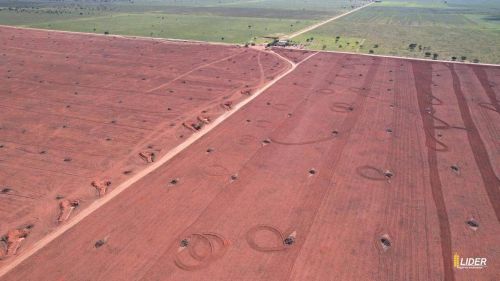 Fazenda à venda, AREA RURAL DE JABORANDI - BA - Jaborandi/BA