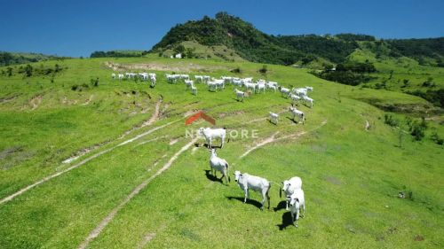 Sítio em centro - Área Rural - Bofete/SP