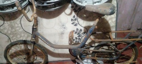 Bicicleta monarque