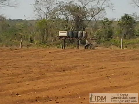 Fazenda agropecuária com 666 ha em Critalândia - TO