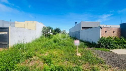 TERRENO RESIDENCIAL BEM LOCALIZADO VILA NASSER