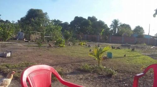 Terreno tamanho 12x30 murado 