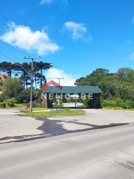 Lote em Rua Sábias - Colinas - São Francisco de Paula/RS
