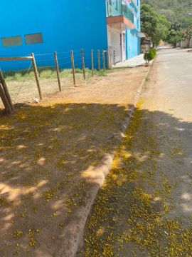 Terreno à venda .