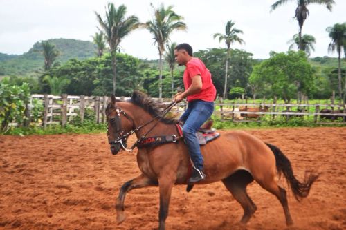 Égua de direita 