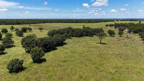 Oportunidade, bela área de 10.000 m²     