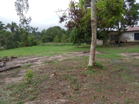 13, 16, 30 e 90 hectares/ Lotes também