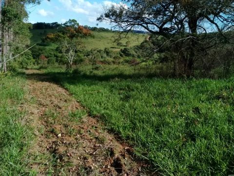 Venda Residential / Farm Ranch Congonhas MG