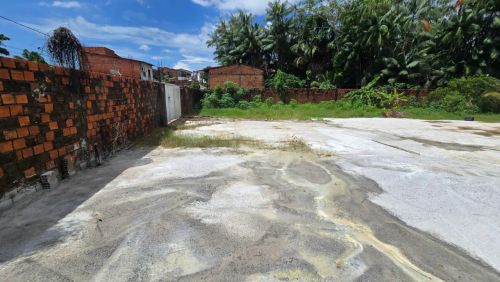 TERRENO MURADO E PLANO 