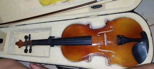 violino 