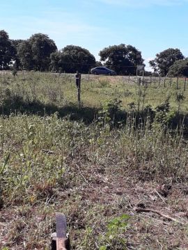 Terreno em Mato Grosso 
