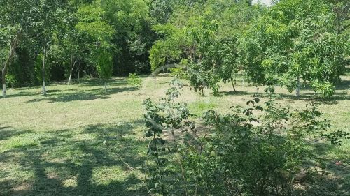 REF: OFFICE2263 casa de Chácara em Cristinópolis, sendo 2 quarto, com 200 m², Cristinópoli