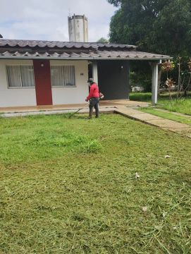 Roçamos quintais e terrenos 