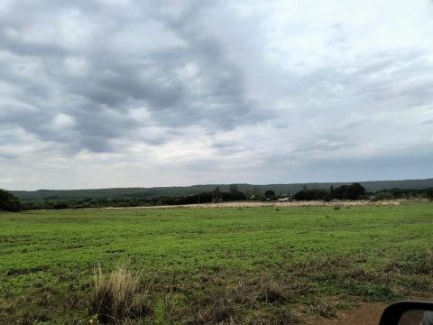 Fazenda arrendamento 2 mil hec em nova Motum MT. R$: combinar