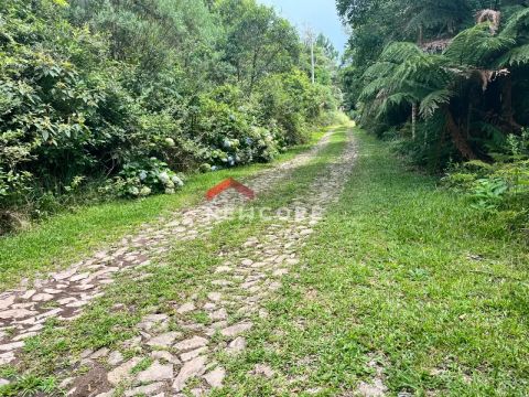Lote em rua 7 - Colinas - São Francisco de Paula/RS