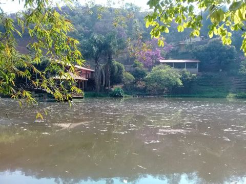 Venda Commercial / Agricultural Congonhas MG