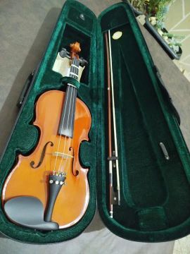 Violino Michael semi novo.