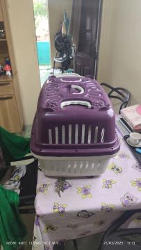 Caixa de Transporte para Pets