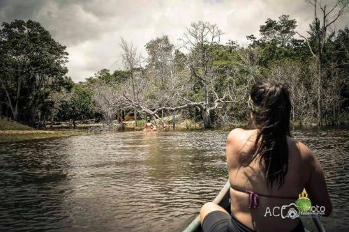 Fazenda à venda, 685000 m² por R$ 8.500.000,00 - Sauípe - Mata de São João/BA