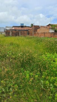 Terreno em ponta de Lucena 3